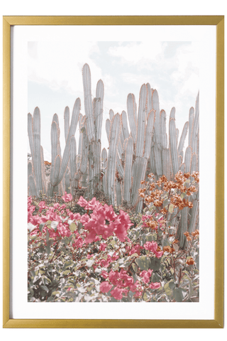 Virgin Gorda Art Print - Cacti #4 527 Photo