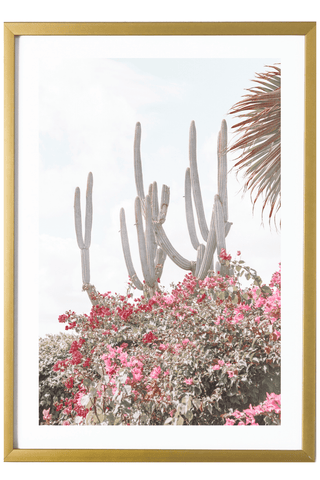 Virgin Gorda Art Print - Cacti #1 527 Photo