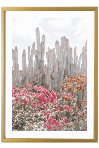 Virgin Gorda Art Print - Cacti #4 527 Photo