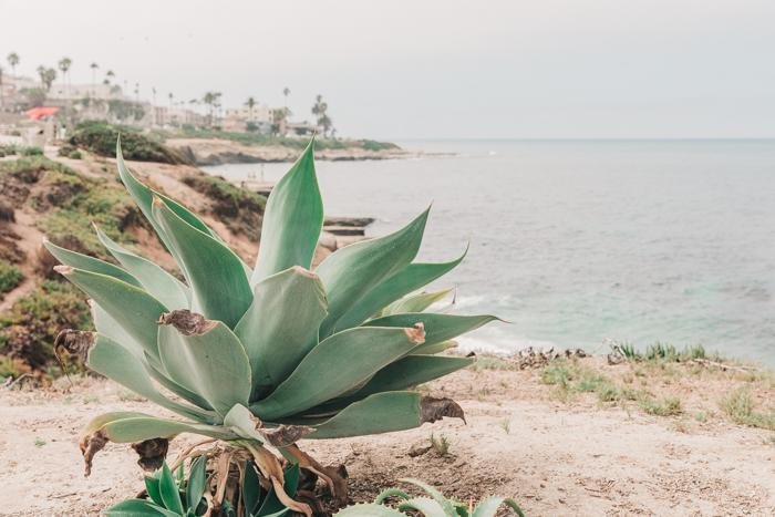 California Print - San Diego Art Print - La Jolla