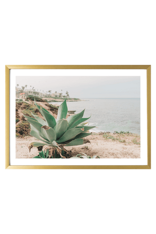 California Print - San Diego Art Print - La Jolla