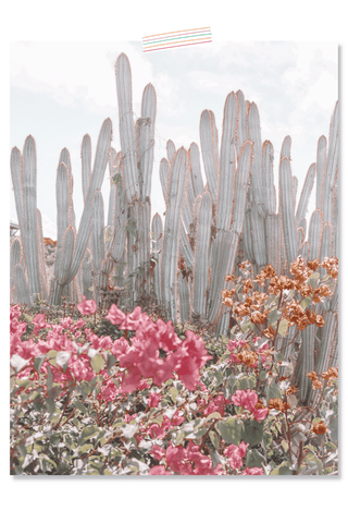 Dorm Prints - Dorm Room Poster Print - Cacti