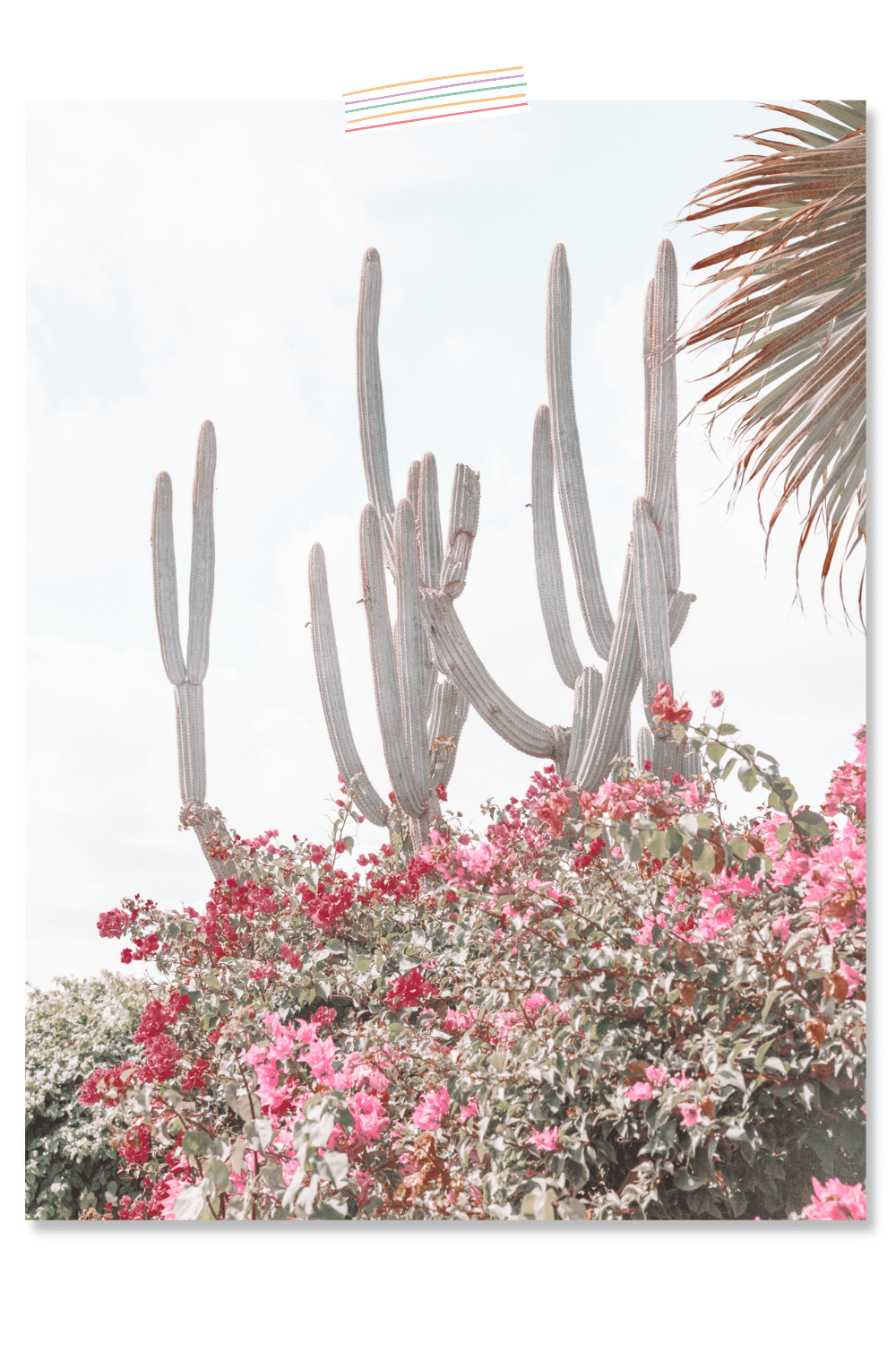 Dorm Room Poster Print Cacti Flowers 8x12 inches