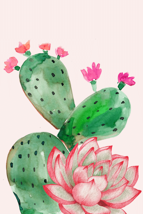 Dorm Prints - Dorm Room Poster Print - Cactus Flower Watercolor