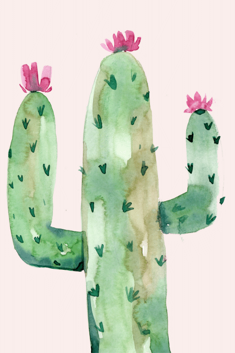 Dorm Prints - Dorm Room Poster Print - Cactus Watercolor