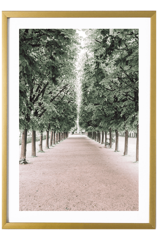 France Print - Paris Art Print - Palais Royal #1