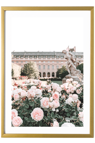 France Print - Paris Art Print - Palais Royal #2