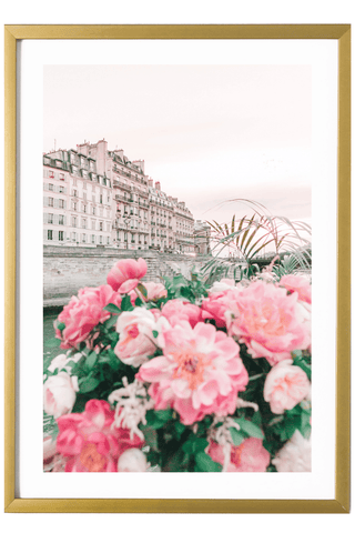 France Print - Paris Art Print - Pink Flowers