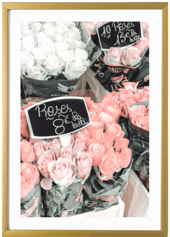 France Print - Paris Art Print - Roses