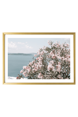 Greece Print - Santorini Art Print - Flowers #1