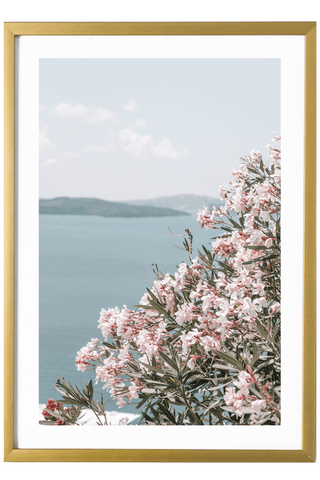 Greece Print - Santorini Art Print - Flowers #2
