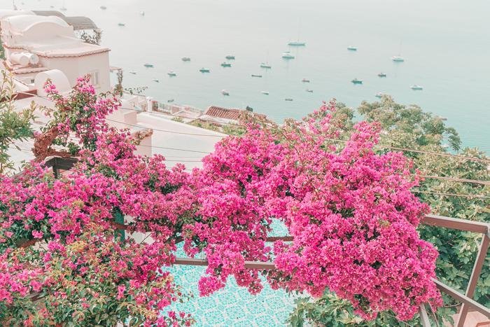 Italy Print - Positano Art Print - Bougainvillea