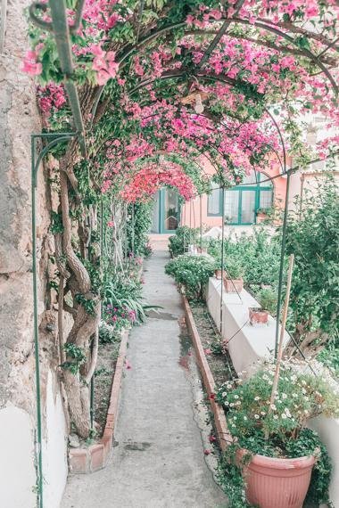 Italy Print - Positano Art Print - Garden