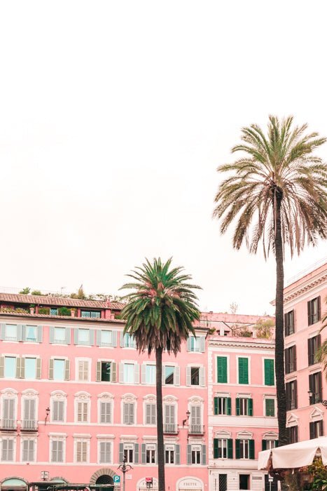 Italy Print - Rome Art Print - Pink Buildings & Palms