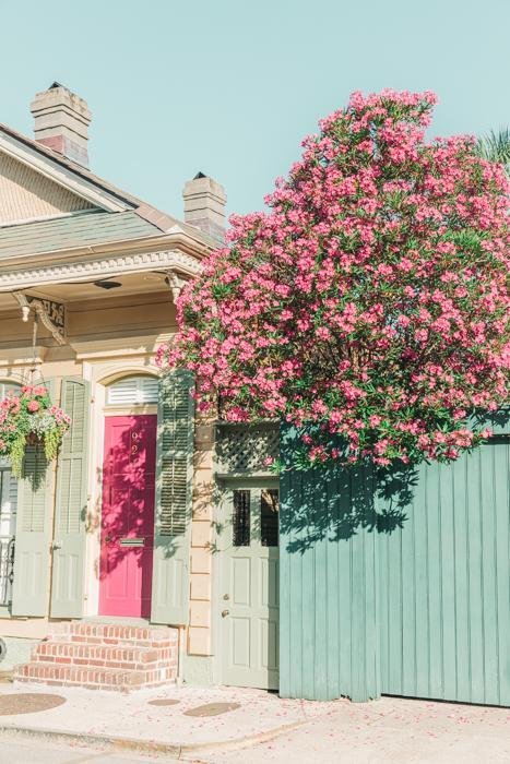 New Orleans Print - New Orleans Art Print - Flowers in the Quarter