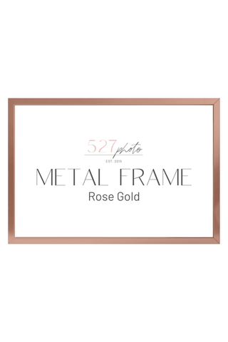 Picture Frame - Metal Frame Horizontal - Rose Gold
