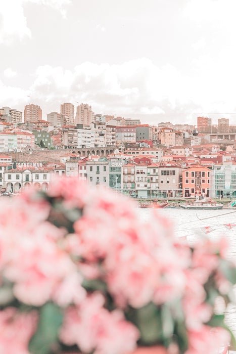 Portugal Print - Porto Art Print - Flowers