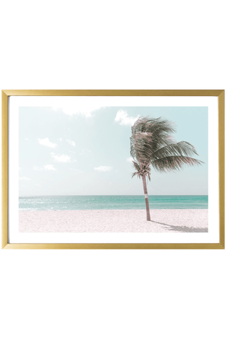 Tropical Print - Barbados Art Print - Palm Tree in the Breeze #1