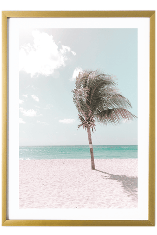 Tropical Print - Barbados Art Print - Palm Tree in the Breeze #2