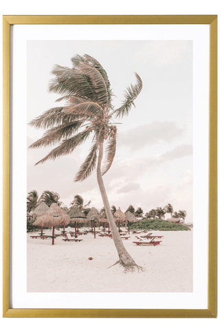 Tropical Print - Playa Mujeres Art Print - Modern Palm Tree