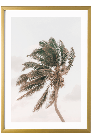 Tropical Print - Playa Mujeres Art Print - Palm Tree